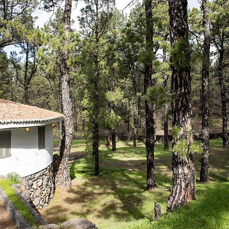 Vivienda Vacacional Finca La Redonda El Paso Eksteriør billede