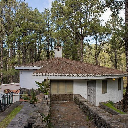 Vivienda Vacacional Finca La Redonda El Paso Eksteriør billede