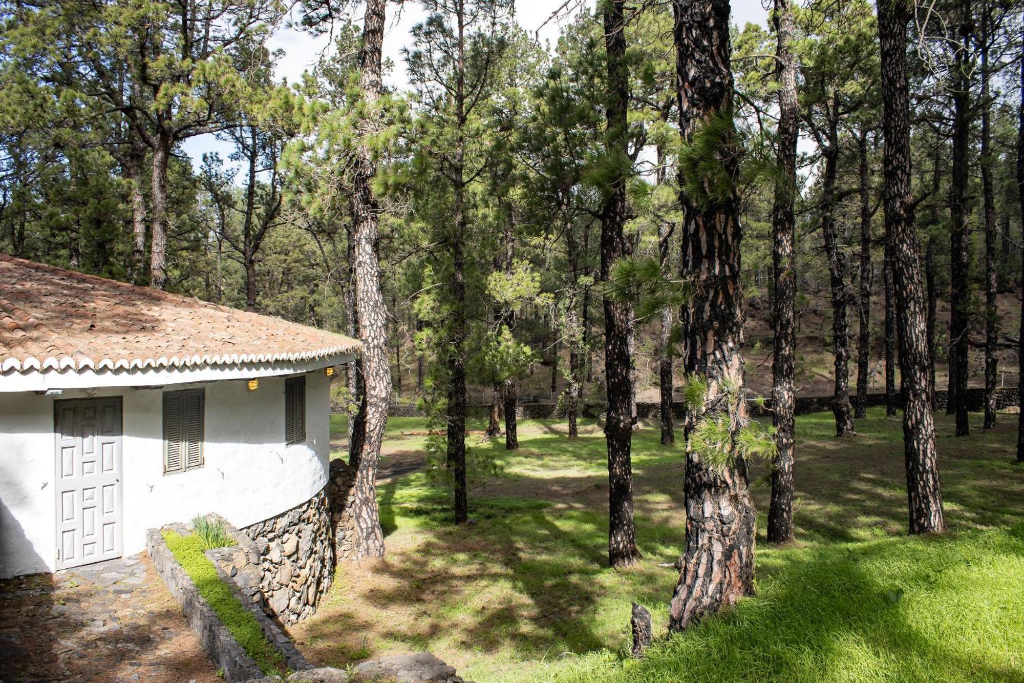 Vivienda Vacacional Finca La Redonda El Paso Eksteriør billede